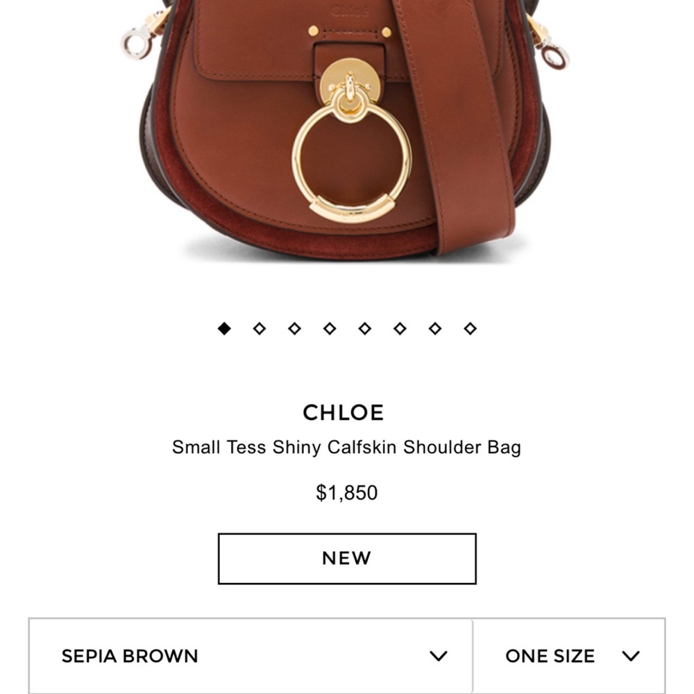 Chloe Small Tess Shiny Calfskin Shoulder Bag NWT - Picture 7 of 8